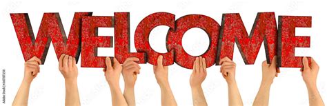 Welcome to YPI! .